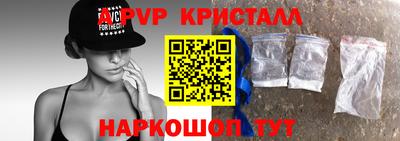 спиды Кингисепп