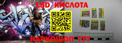 спиды Кингисепп