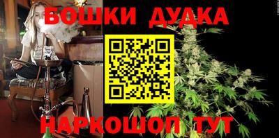 спиды Кингисепп