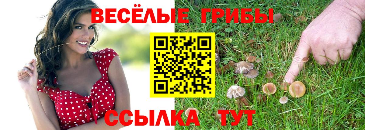 Псилоцибиновые грибы Cubensis  Вход с VPN  Псилоцибиновые грибы Psilocybine cubensis  Краснодар 